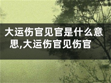 大运伤官见官是什么意思,大运伤官见伤官