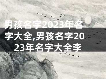 男孩名字2023年名字大全,男孩名字2023年名字大全李