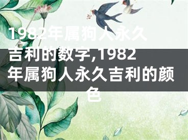1982年属狗人永久吉利的数字,1982年属狗人永久吉利的颜色