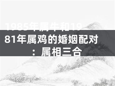 1985年属牛和1981年属鸡的婚姻配对：属相三合
