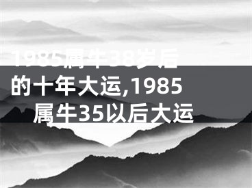1985属牛38岁后的十年大运,1985属牛35以后大运