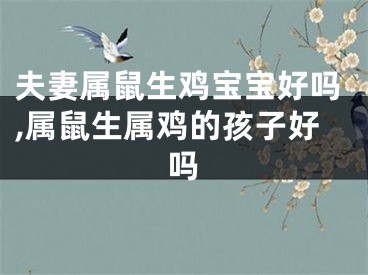 夫妻属鼠生鸡宝宝好吗,属鼠生属鸡的孩子好吗