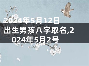 2024年5月12日出生男孩八字取名,2024年5月2号
