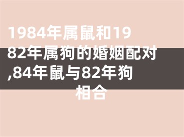 1984年属鼠和1982年属狗的婚姻配对,84年鼠与82年狗相合