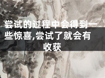 尝试的过程中会得到一些惊喜,尝试了就会有收获