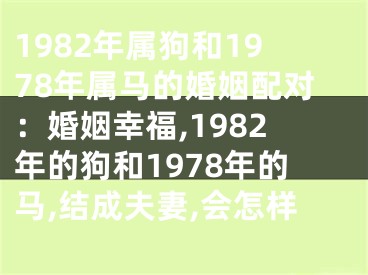 1982年属狗和1978年属马的婚姻配对：婚姻幸福,1982年的狗和1978年的马,结成夫妻,会怎样