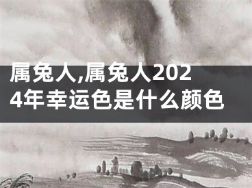 属兔人,属兔人2024年幸运色是什么颜色