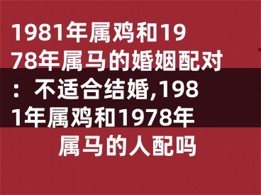 1981年属鸡和1978年属马的婚姻配对：不适合结婚,1981年属鸡和1978年属马的人配吗