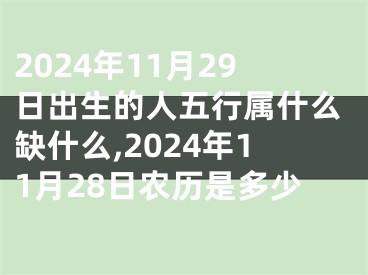 2024年11月29日出生的人五行属什么缺什么,2024年11月28日农历是多少