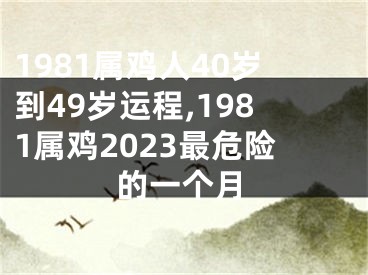 1981属鸡人40岁到49岁运程,1981属鸡2023最危险的一个月
