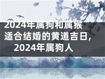 2024年属狗和属猴适合结婚的黄道吉日,2024年属狗人