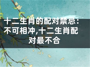 十二生肖的配对禁忌：不可相冲,十二生肖配对最不合