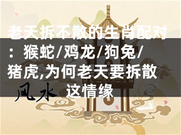 老天拆不散的生肖配对：猴蛇/鸡龙/狗兔/猪虎,为何老天要拆散这情缘