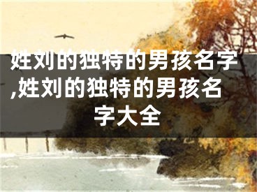 姓刘的独特的男孩名字,姓刘的独特的男孩名字大全
