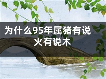 为什么95年属猪有说火有说木