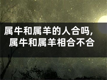属牛和属羊的人合吗,属牛和属羊相合不合