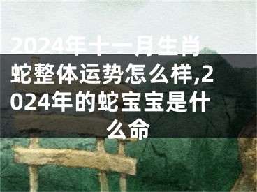 2024年十一月生肖蛇整体运势怎么样,2024年的蛇宝宝是什么命