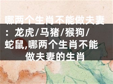 哪两个生肖不能做夫妻：龙虎/马猪/猴狗/蛇鼠,哪两个生肖不能做夫妻的生肖