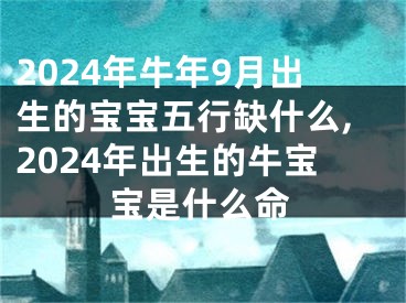2024年牛年9月出生的宝宝五行缺什么,2024年出生的牛宝宝是什么命