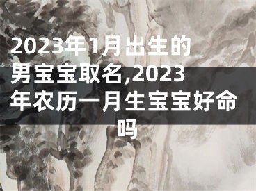 2023年1月出生的男宝宝取名,2023年农历一月生宝宝好命吗