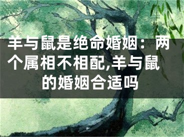 羊与鼠是绝命婚姻：两个属相不相配,羊与鼠的婚姻合适吗
