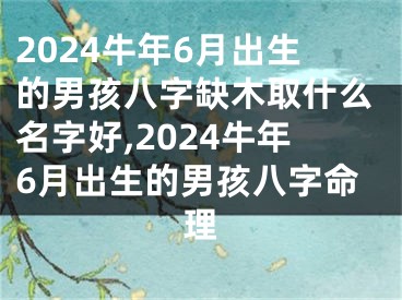 2024牛年6月出生的男孩八字缺木取什么名字好,2024牛年6月出生的男孩八字命理