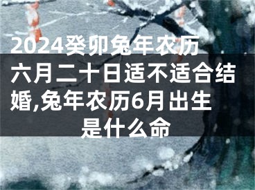 2024癸卯兔年农历六月二十日适不适合结婚,兔年农历6月出生是什么命
