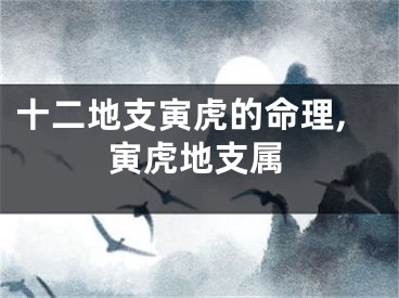 十二地支寅虎的命理,寅虎地支属