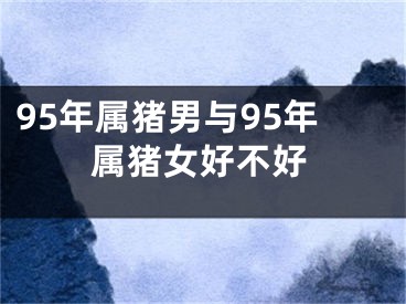 95年属猪男与95年属猪女好不好