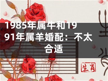 1985年属牛和1991年属羊婚配：不太合适