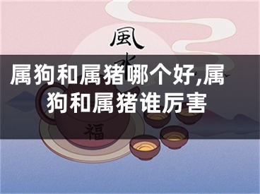 属狗和属猪哪个好,属狗和属猪谁厉害