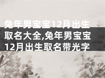 兔年男宝宝12月出生取名大全,兔年男宝宝12月出生取名带光字