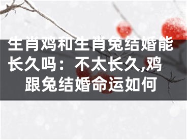 生肖鸡和生肖兔结婚能长久吗：不太长久,鸡跟兔结婚命运如何