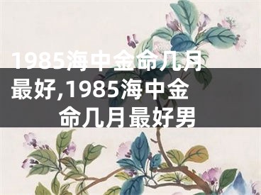 1985海中金命几月最好,1985海中金命几月最好男
