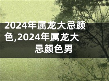 2024年属龙大忌颜色,2024年属龙大忌颜色男