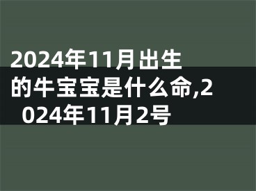 2024年11月出生的牛宝宝是什么命,2024年11月2号