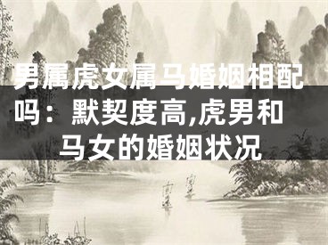 男属虎女属马婚姻相配吗：默契度高,虎男和马女的婚姻状况