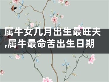 属牛女几月出生最旺夫,属牛最命苦出生日期