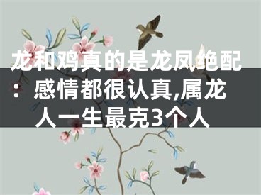 龙和鸡真的是龙凤绝配：感情都很认真,属龙人一生最克3个人