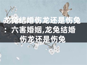 龙兔结婚伤龙还是伤兔：六害婚姻,龙兔结婚伤龙还是伤兔
