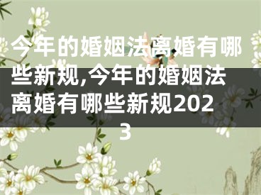 今年的婚姻法离婚有哪些新规,今年的婚姻法离婚有哪些新规2023
