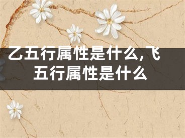 乙五行属性是什么,飞五行属性是什么