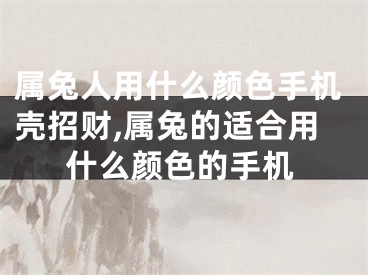 属兔人用什么颜色手机壳招财,属兔的适合用什么颜色的手机