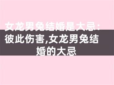女龙男兔结婚是大忌：彼此伤害,女龙男兔结婚的大忌