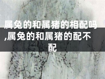 属兔的和属猪的相配吗,属兔的和属猪的配不配