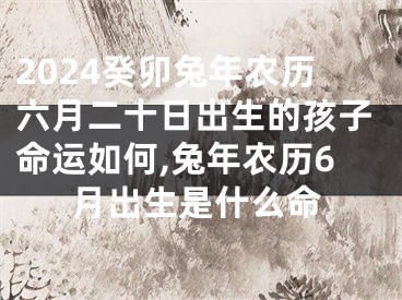 2024癸卯兔年农历六月二十日出生的孩子命运如何,兔年农历6月出生是什么命