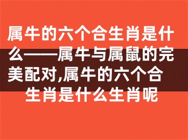属牛的六个合生肖是什么——属牛与属鼠的完美配对,属牛的六个合生肖是什么生肖呢