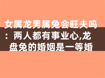 女属龙男属兔会旺夫吗：两人都有事业心,龙盘兔的婚姻是一等婚