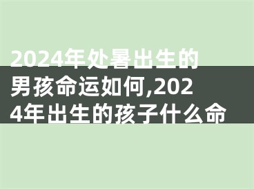 2024年处暑出生的男孩命运如何,2024年出生的孩子什么命