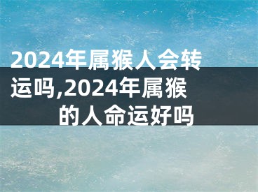 2024年属猴人会转运吗,2024年属猴的人命运好吗